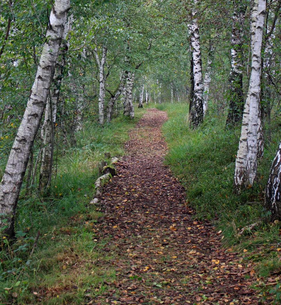 Danielle Barbereau - Divorce Coaching